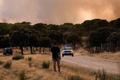 Los incendios de Madrid y Ávila se unifican tras arrasar 25.000 hectáreas