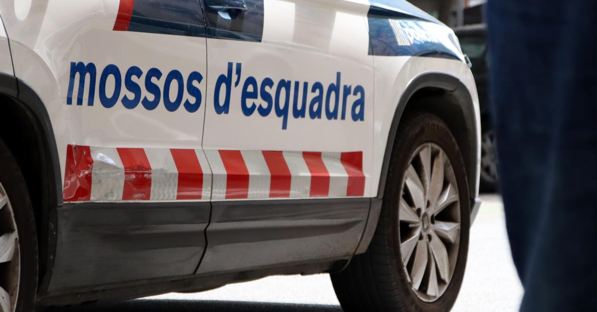 Detenido un hombre de 33 años por apuñalar a una niña de 13 en Puigcerdà