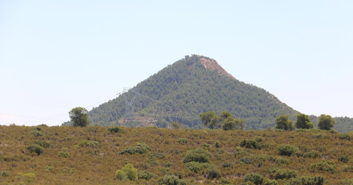 El eclipse solar obliga a cerrar zonas boscosas en el Segrià y Montmaneu por riesgo de incendio