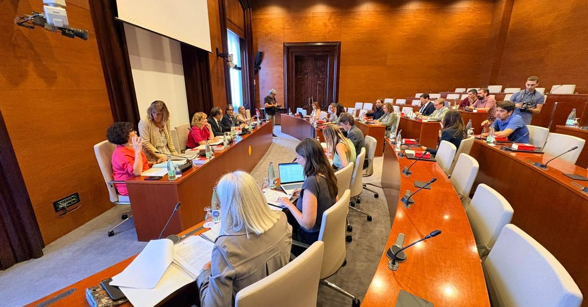 Aliança Catalana y PP fracasan al intentar blindar a Vox de la sanción por insultar a Companys
