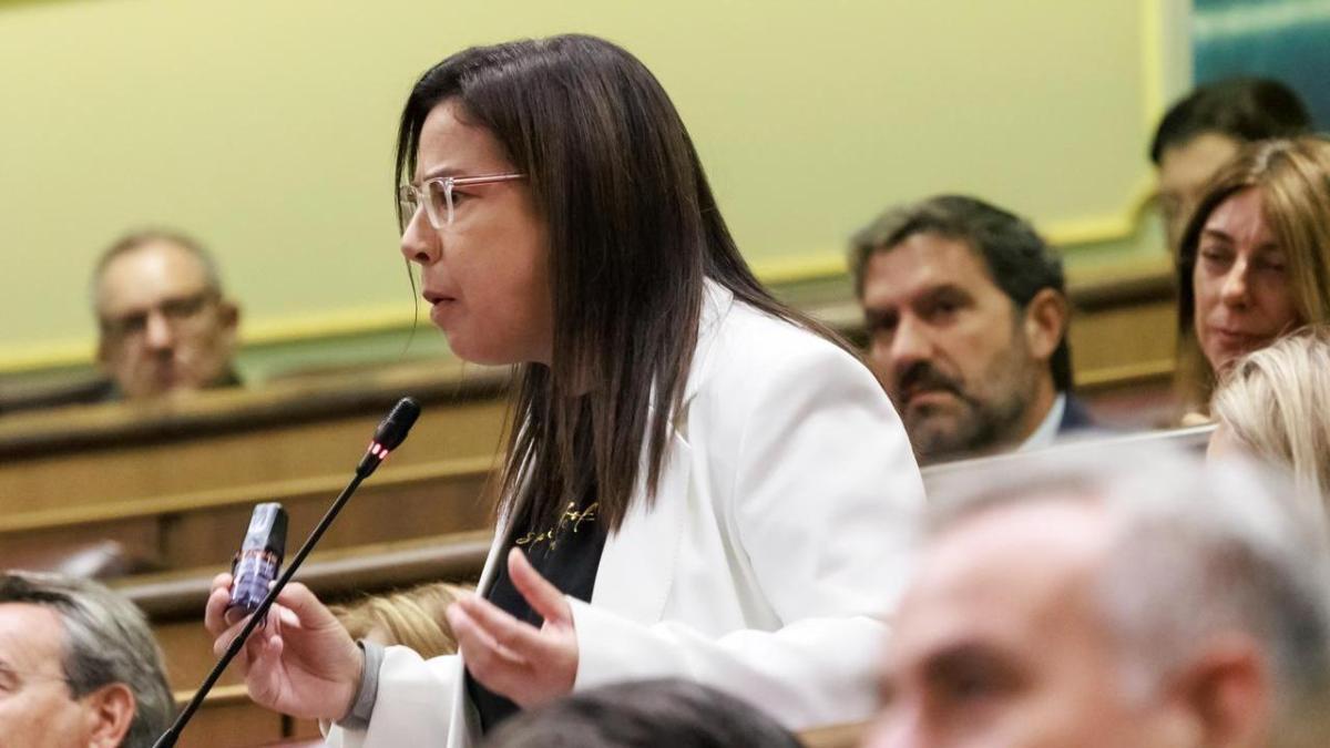 Los letrados del Congreso respaldan abrir un expediente disciplinario a la diputada del PP por el gas pimienta