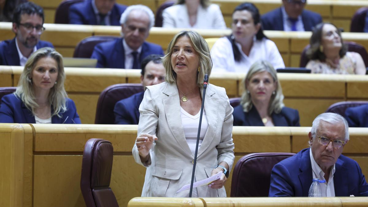 El PP lleva al Senado una moción para frenar la ampliación irregular de la Ley de Nietos