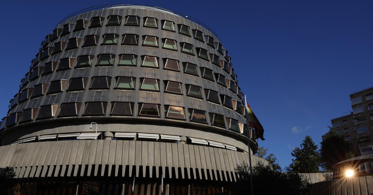 El Constitucional confirma la suspensión del voto de los nacionalizados por la ley de nietos